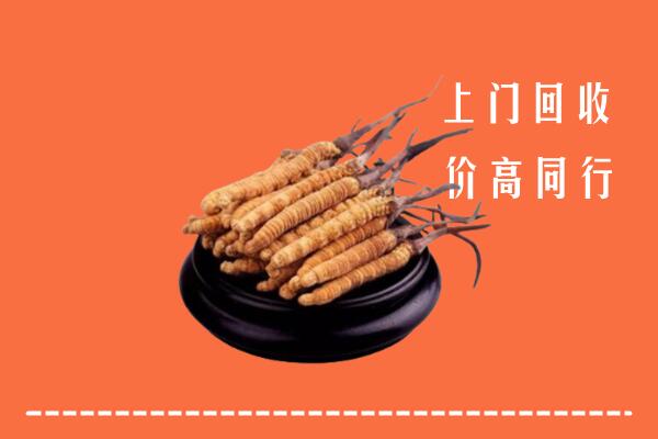 高价求购：萨尔图区回收散虫草