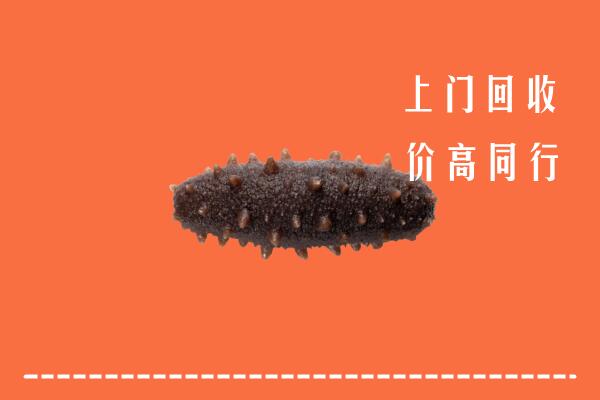 高价求购：萨尔图区回收海参